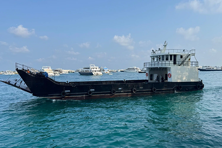 কিভাবে ফেরি বোট সামুদ্রিক পরিবহন বিপ্লব করে?